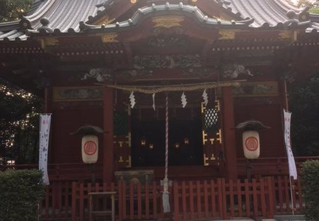 拝殿も社号額も、そしてご神木も…見事なものがたくさん見られる神社です。