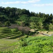 田舎の風景