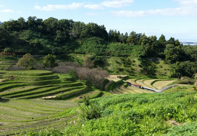 田舎の風景