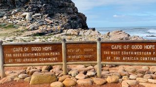 感動 ！  写真  撮りまくり (#^.^#)