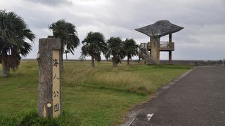 マンタがテイクオフ