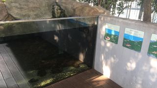 高層ビルの上の緑地