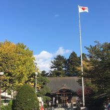 青空に日の丸とイチョウ