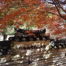 塀沿いの紅葉がきれい