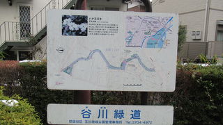 世田谷区の散歩道