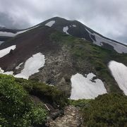 花の百名山秋田駒ヶ岳