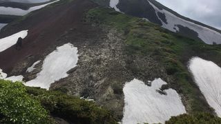 花の百名山秋田駒ヶ岳