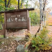 南玉川温泉　湯宿　はなやの森