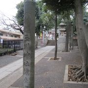 丘の上の美しい神社