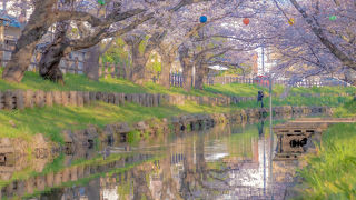 良くも悪くも人気観光地