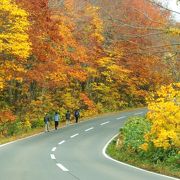 十和田湖へ行くなら八戸から？青森から？