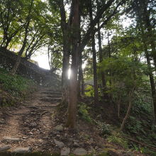 足元が悪い山道が１５分程続くので、しっかりした靴でどうぞ。