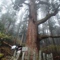 赤石温泉に前泊し、氷室神社（富士川町）に紅葉を見に行きました