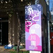 ぶどうの早川園 クチコミ アクセス 営業時間 甲府 フォートラベル