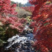 紅葉と清流の組み合わせが風情あり