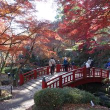 赤い橋が架かる