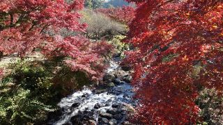 紅葉と清流の組み合わせが風情あり