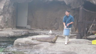 もぐもぐタイムは混雑するので、屋内で放送を聴きながら眺めるのも良いかも。