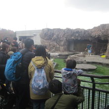 10月はまだ空いている方だと思いますけどね…。