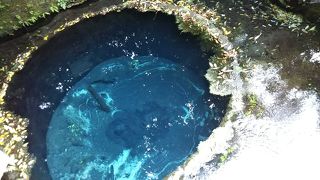 とてもきれいで、心が洗われるようです！