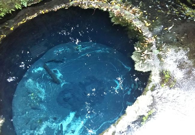 柿田川湧水群 クチコミ アクセス 営業時間 裾野 長泉 フォートラベル