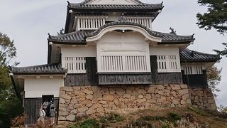 現存天守唯一の山城