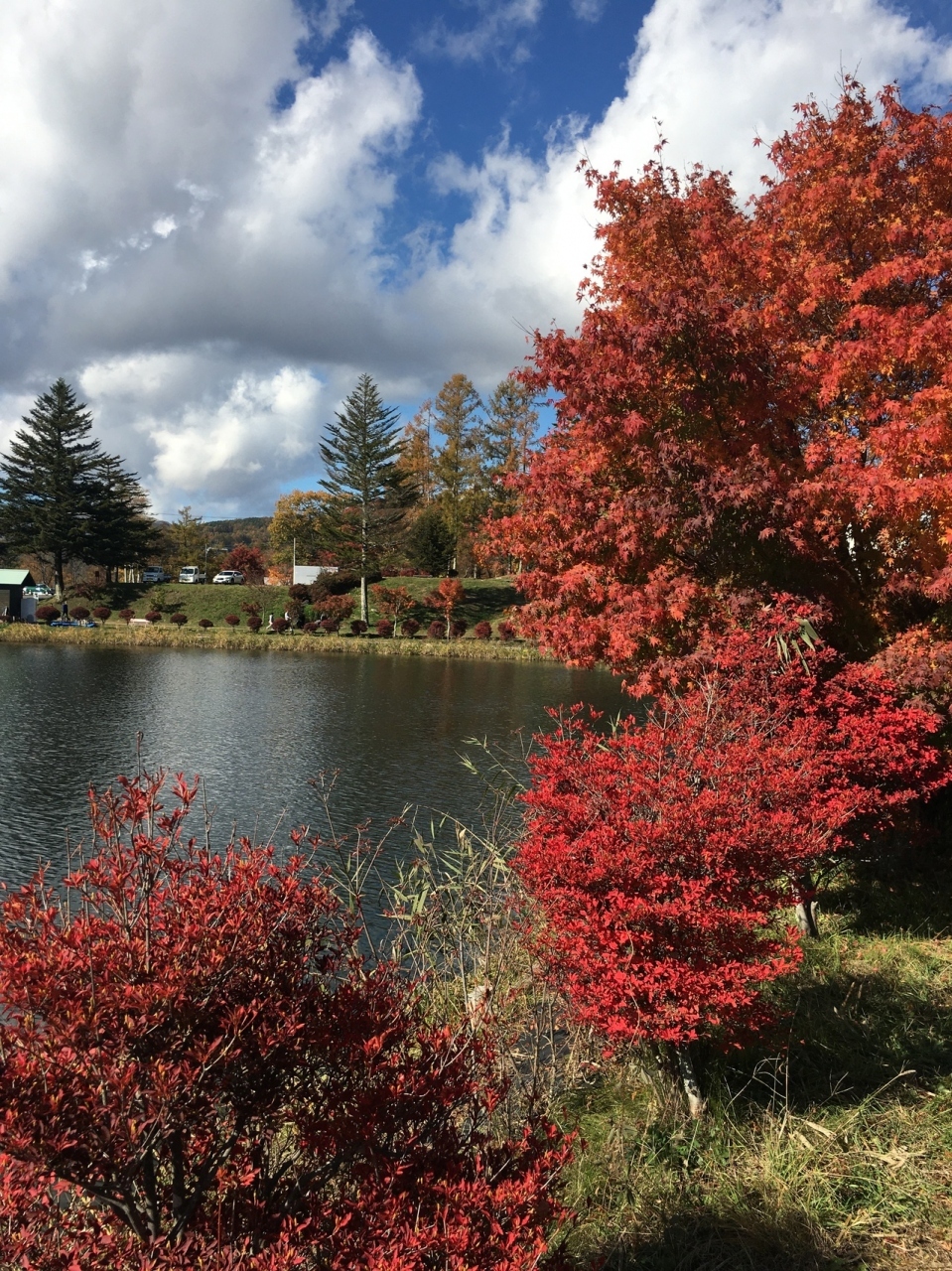 彫刻がたくさん