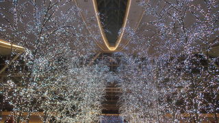 2019年度のスカイイルミネーションが開始