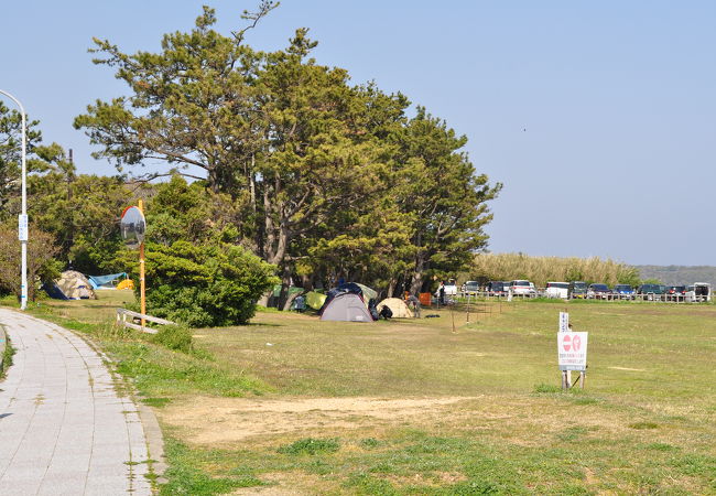 風が強いですが