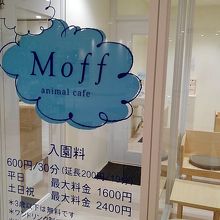 猫カフェがオープンしていました By ともちん 静岡パルコのクチコミ フォートラベル