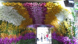 沖縄国際洋蘭博覧会