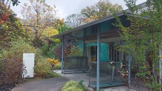 建物の曲線美も絵も綺麗