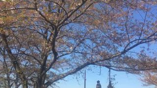 カップヌードルミュージアムの裏手