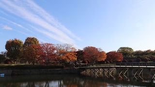 紅葉が綺麗でした
