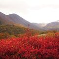 くじゅうの絶景ポイントの一つである「タデ原湿原」　ゆっくりと山や空を眺めにやってきました。