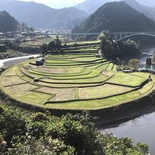 稲刈りの終わった棚田