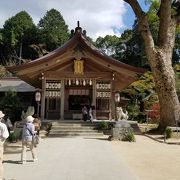 綺麗な神社