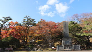 紅葉が綺麗でした