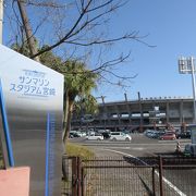 早春に巨人軍キャンプで活気づく公園