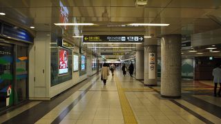 お店がたくさん