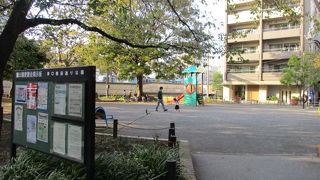 桜の木陰、ベンチで癒されました。