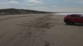 砂浜を車で走れる