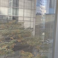 窓からはこのような景色が。