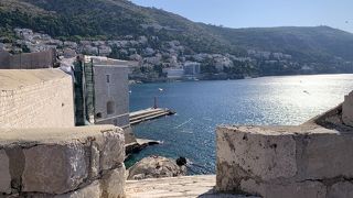 朝早い時間が良いです。