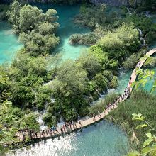 上のほうから見ると、さらに水の美しさがわかります。