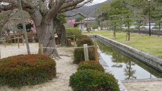 錦帯橋の先です