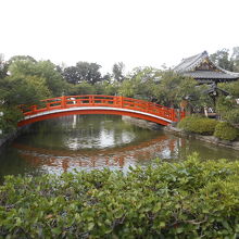 緑の中に赤い太鼓橋が映えます。