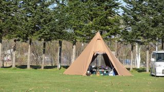 ナウマン公園キャンプ場