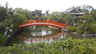 優雅な雰囲気が漂っています。