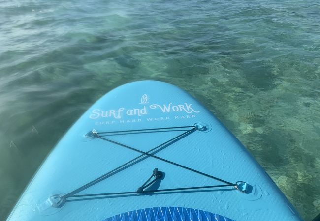 SURF＆WORK